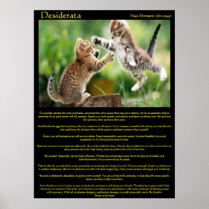 Desiderata猫の戦いのポスター ポスター