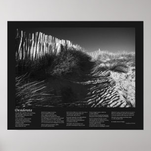 Desiderata詩 – フェンシングイン・ザ・デューネス，ファインアート ポスター