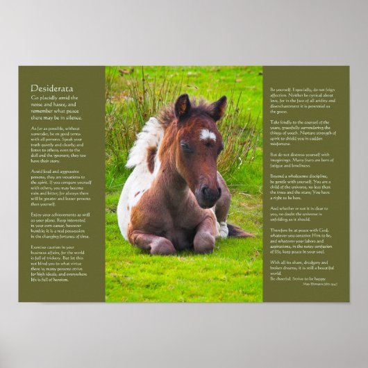 Desiderata詩 – Dartmoor Pony Foal ポスター (正面)