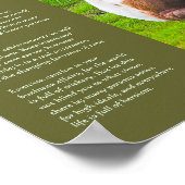 Desiderata詩 – Dartmoor Pony Foal ポスター (角)