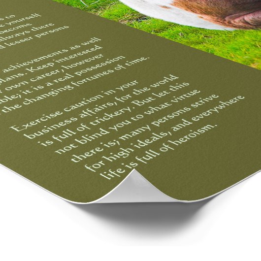 Desiderata詩 – Dartmoor Pony Foal ポスター (角)