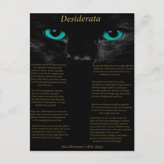 Desiderata黒猫と彼のターコイズ目 ポストカード (正面)