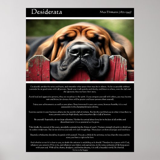 Desiderata：日光と静穏 ポスター (正面)