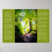 Desiderata – 最後の上昇 ポスター (正面)