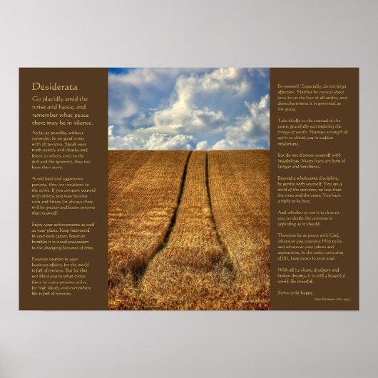 Desiderata – 行き過ぎ ポスター (正面)