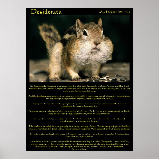 Desiderata Chipmunkポスター ポスター (正面)