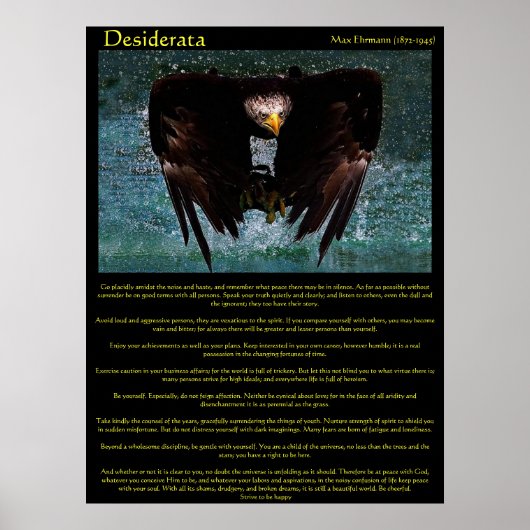 Desiderata Eagle over Water Posts ポスター (正面)