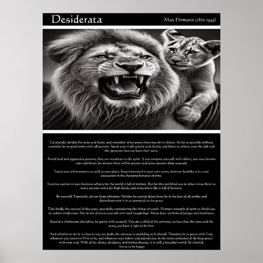 Desiderata: Echoes of Kin ポスター (正面)