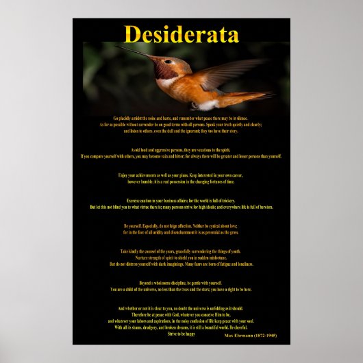 Desiderata Hummingbirdポスター1a ポスター (正面)