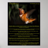 Desiderata Hummingbirdポスター2 ポスター (正面)