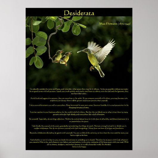 Desiderata Hummingbirdポスター3 ポスター (正面)