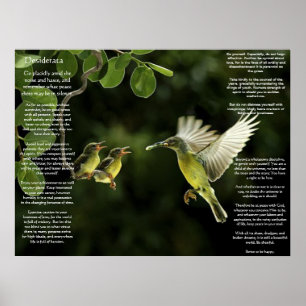 Desiderata Hummingbirdポスター ポスター