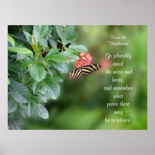 Desiderata On Photo of zebra wing butterfly ポスター (正面)