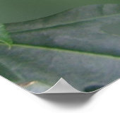 Desiderata On Photo of zebra wing butterfly ポスター (角)