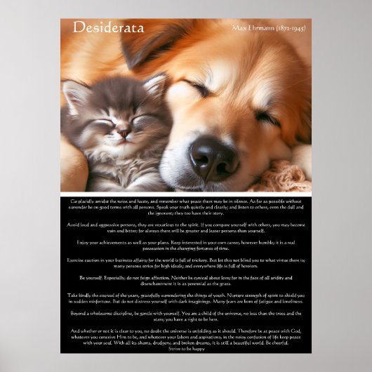 Desiderata Peace Companship：子猫と犬 ポスター (正面)