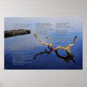 Desiderata Posal on Lake's Edgeポスター ポスター (正面)