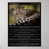 Desiderata Posters 8 ポスター (正面)