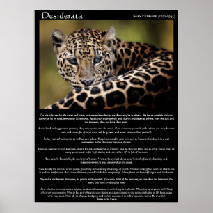 Desiderata Posters 8 ポスター