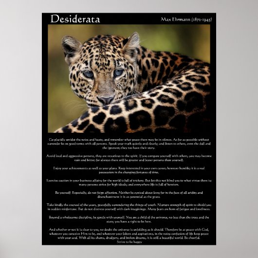 Desiderata Posters 8 ポスター (正面)