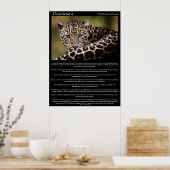 Desiderata Posters 8 ポスター (キッチン)