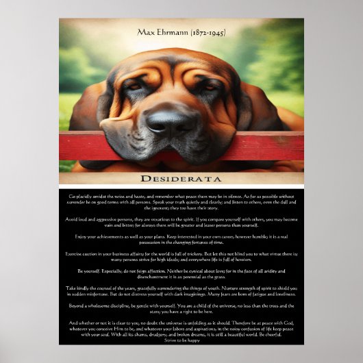 Desiderata: The Language of Rest ポスター (正面)