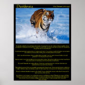 Desiderata Tiger in Water Posts ポスター (正面)