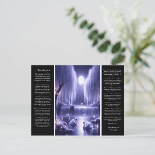 Desiderata Waterfall:放射開花秋 ポストカード (スタンド正面)