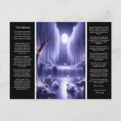 Desiderata Waterfall:放射開花秋 ポストカード (正面)