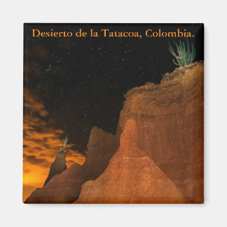 Desierto en la noche, Tatacoa, Colombia. マグネット