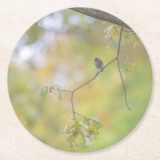  design nature ラウンドペーパーコースター (正面)