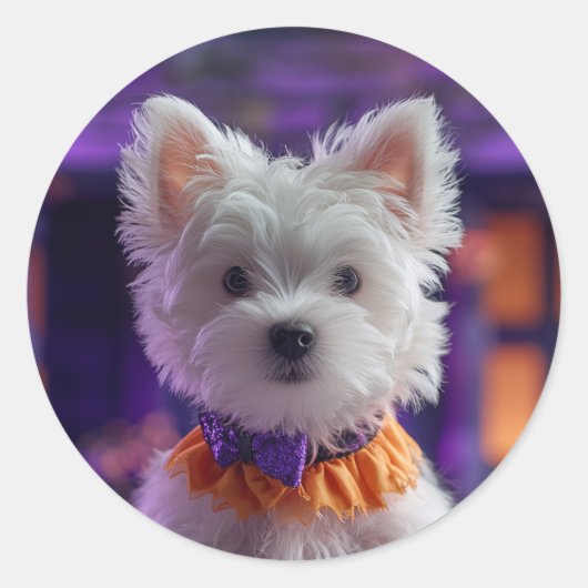 Design your own Custom Photo Stickers ラウンドシール (正面)