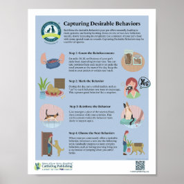 Desirable Behaviors Posterのキャプチャ ポスター
