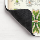 Desmidのマウスパッド マウスパッド (コーナー)