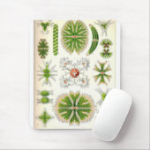 Desmidのマウスパッド マウスパッド (マウス)