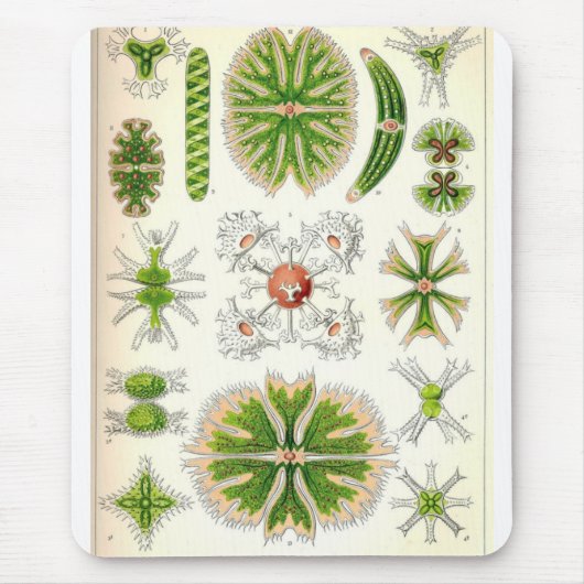 Desmidのマウスパッド マウスパッド (正面)