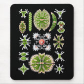 Desmids マウスパッド (正面)