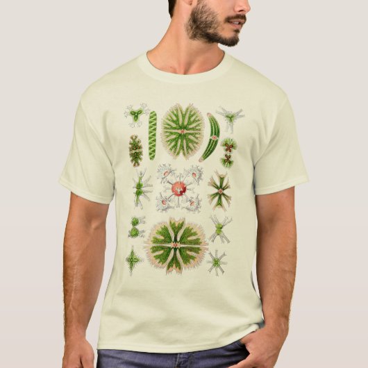 Desmids Tシャツ (正面)