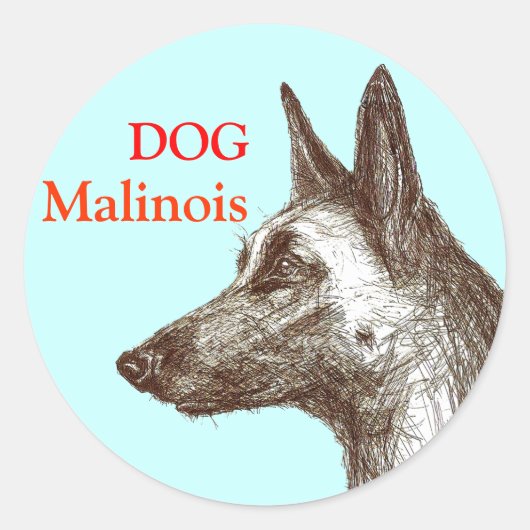 dessin malinois ラウンドシール (正面)