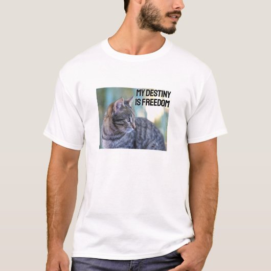 Destiny Freedom （軽量） Tシャツ (正面)