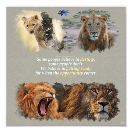 Destiny or opportunity? フォトプリント (正面)