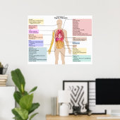 Detailed Chart of the Symptoms of Cystic Fibrosis ポスター (ホームオフィス)