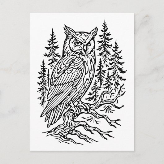 Detailed Horned Owl in Pine Forest Line Art ポストカード (正面)