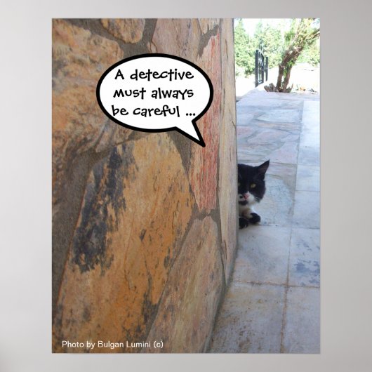 DETECTIVE CAT BEHIND THE STONE WALL / 父の日 ポスター (正面)