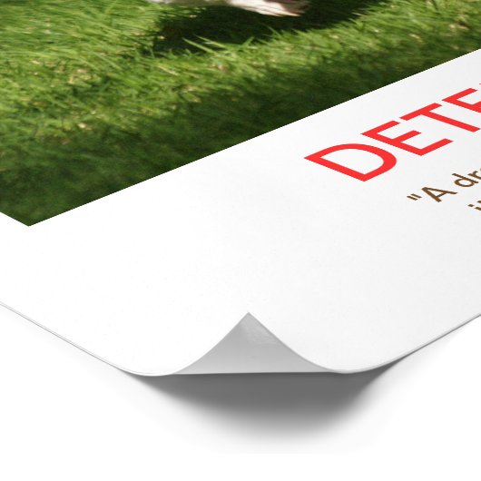 DETERMINING人口動態ポスター ポスター (角)