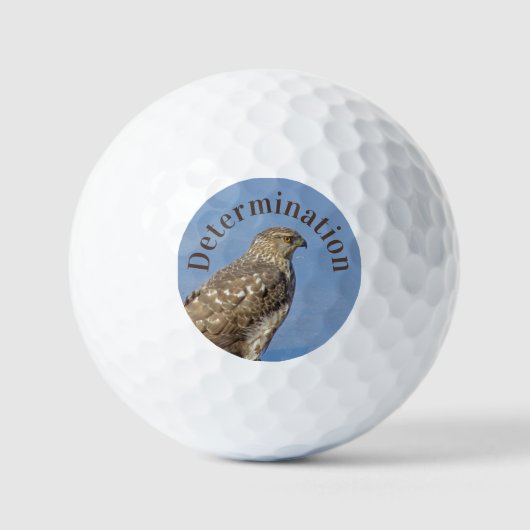 Determining Seal Hawk Photo Wild Raptor Bird ゴルフボール (正面)