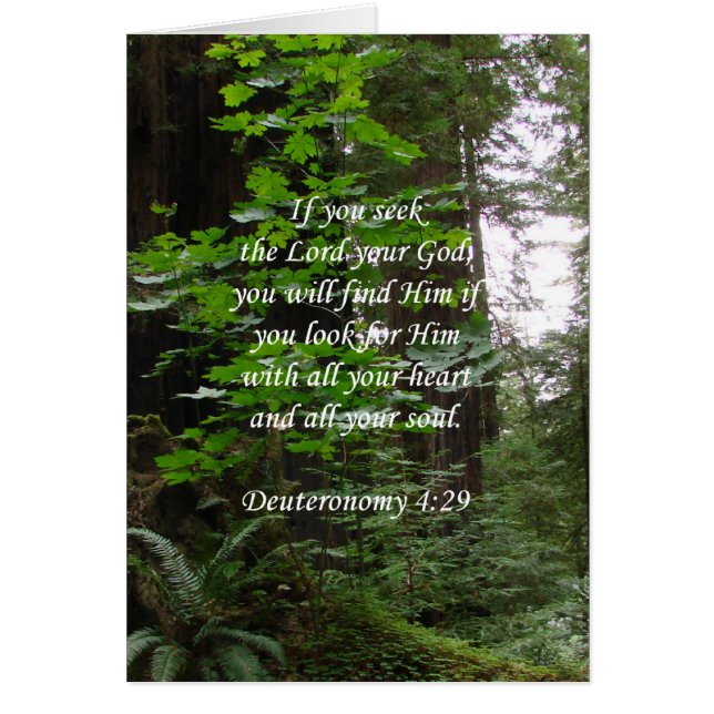 Deuteronomyの4:29の~のシーク主 (正面)