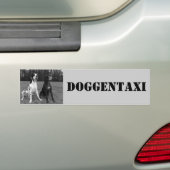 Deutsche Dogge, Great Dane,Harlekin,Taxi,Aufkleber バンパーステッカー (車上)