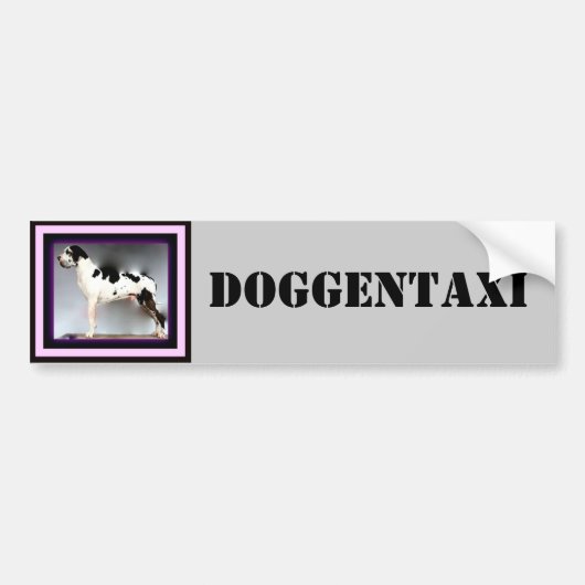 Deutsche Dogge, Great Dane,Harlekin,Taxi,Aufkleber バンパーステッカー (正面)