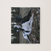 Deutsche Dogge, Great Dane,Hunde,Dogue Allemand ジグソーパズル (縦)