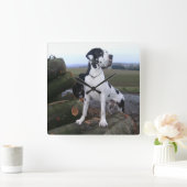 Deutsche Dogge, Great Dane,Hunde,Dogue Allemand スクエア壁時計 (ホーム)